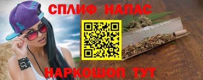 дживик Дубна