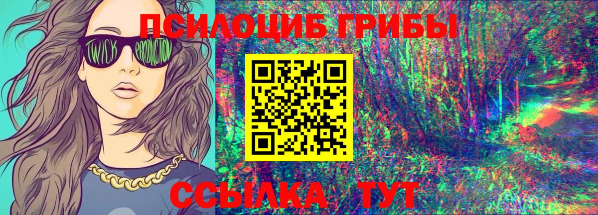 Псилоцибиновые грибы Psilocybe Иваново