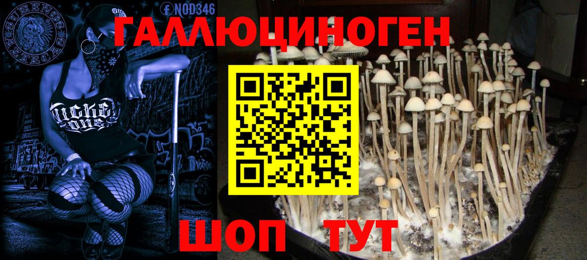 Галлюциногенные грибы прущие грибы  закладки  Иваново  Вход с VPN 
